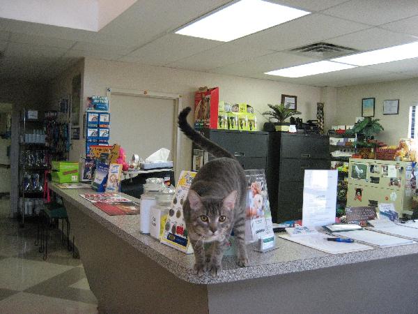 Our Friendly Receptionist will greet you