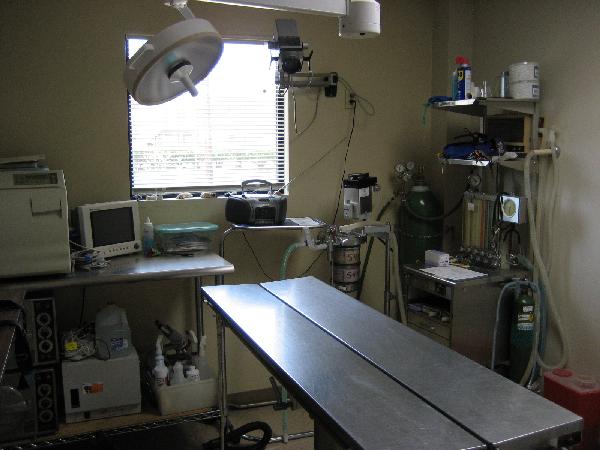 We offer a variety of surgical procedures